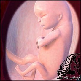 همه چیز راجع به هفته چهاردهم بارداری - rozbano 206 3 2