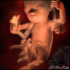 همه چیز راجع به هفته هجدهم بارداری - rozbano 212 4 1