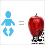 همه چیز راجع به هفته پانزدهم بارداری - rozbano 214 4 1