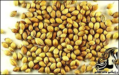 فواید دارویی ترنجبین و جعفری - rozbano 233 2