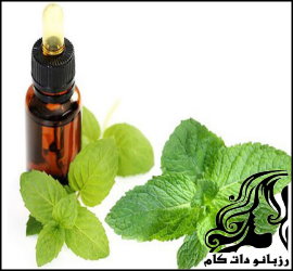 روغن نعناع و فواید فراوان آن - rozbano 239 2