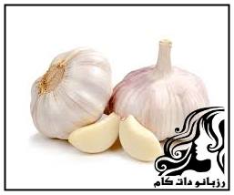 انتخاب و نگهداری و استفاده از سیر - rozbano 255 19