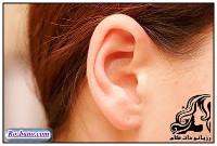 استایل کشیده برای گوش شما - rozbano 273 20