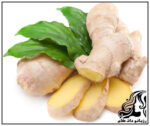 افزایش میل جنسی با گیاهان - rozbano 28 25