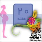 همه چیز راجع به هفته بیستم بارداری - rozbano 309 5 1