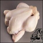 ترفندهای تشخیص مرغ سالم - rozbano 32 1 2