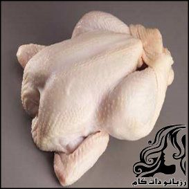 ترفندهای تشخیص مرغ سالم - rozbano 32 1 2