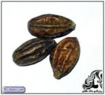 گیاه دارویی هلیله سیاه و فواید آن - rozbano 360 4