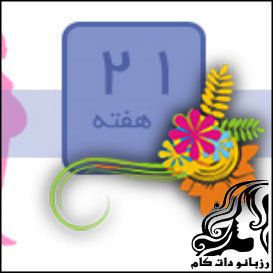 همه چیز راجع به هفته بیست و یکم بارداری - rozbano 362 4