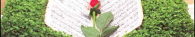 rozbano-38-11