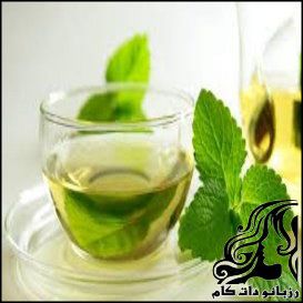 طرز تهیه شربت نعنا - rozbano 389 1 1