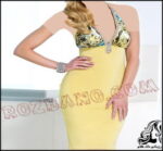 لباس مجلسی کوتاه زنانه از برند Baccio - rozbano 534 9