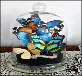 آموزش ساخت حباب زیبای پروانه - rozbano 671 12 1