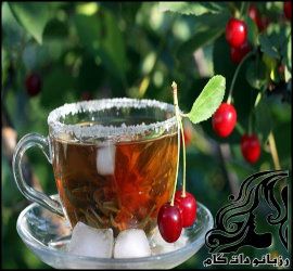 طرز تهیه چای آلبالو - rozbano 760 1