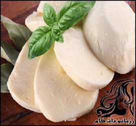 طرز تهیه پنیر سفید خانگی - rozbano 80 1 1