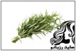 خواص آویشن شیرازی و آویشن کوهی - rozbano 97