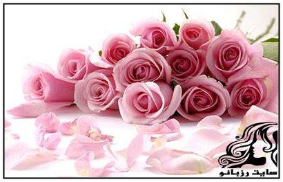 واقع بینی، رمز موفقیت یک ازدواج - rzbano 195