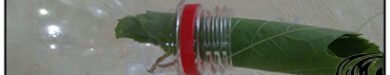 rzbano-214-11