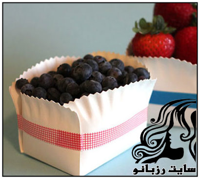 ظرف میوه خوری با بشقاب یک بار مصرف - rzbano 215 11