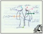 آموزش خياطي يقه هاي شال (سرخود) - rzbano 263 12