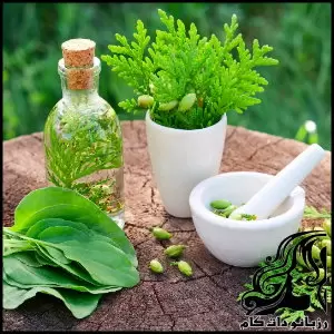 فواید دارویی روغن های سنتی و گیاهی - the20benefits20of20traditional20medicine20and20herbal20oils 04