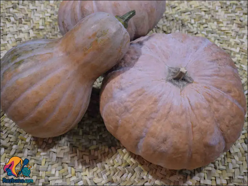 طرز تهیه کیی پته مدرن مازندرانی کدوی پخته