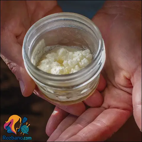 خواص کفیر و روش تهیه کفیر خانگی مرحله به مرحله