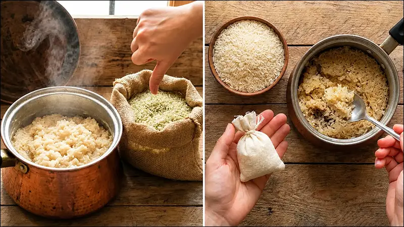 مقایسه انواع برنج ایرانی طارم هاشمی و صدری