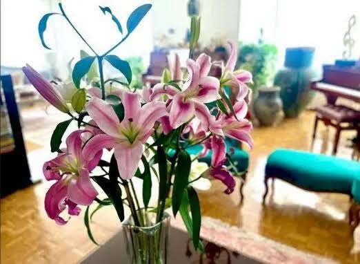 چیدمان شیک مبلمان لاکچری و خوش رنگ خانه مدرن نرگس محمدی/ آینه کنسول سلطنتی، میز پیانو، گل و گیاه آپارتمانی خاص و گلدان عتیقه خانم بازیگر باسلیقه 👌 - images 15 8 1