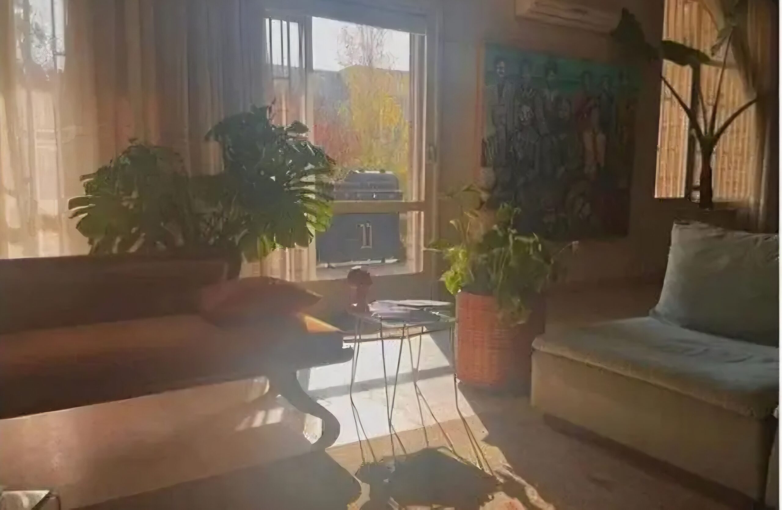 نگاهی به چیدمان خانه باصفای نوید محمدزاده و فرشته حسینی/ خونشون هم مثل خودشون خاصه - فرشتهحسینیونویدمحمدزاده scaled