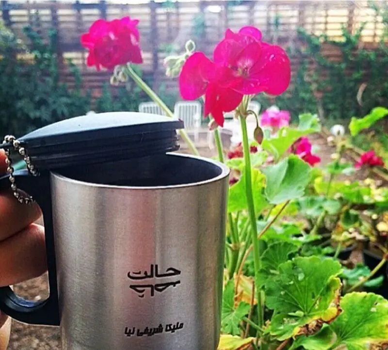 نگاهی به چیدمان جذاب و زیبای حیاط باصفا و دلباز ملیکاشریفی نیا حدیث سریال دلدادگان - ملیکاشریفینیا 1