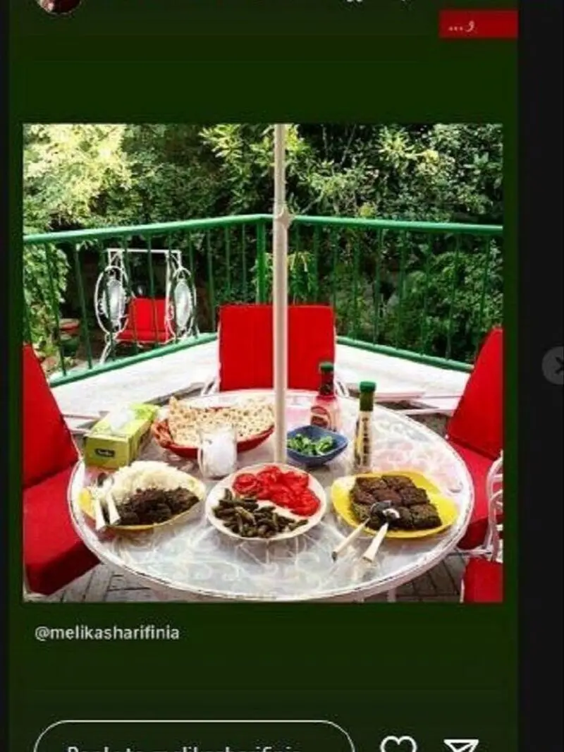 نگاهی به چیدمان جذاب و زیبای حیاط باصفا و دلباز ملیکاشریفی نیا حدیث سریال دلدادگان - ملیکاشریفینیا 2