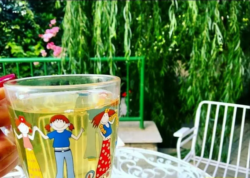 چیدمان جذاب و زیبای حیاط باصفا و دلباز ملیکا، خواهر مهراوه شریفی نیا/ زیبا، شیک و آرامبخش+عکس - مهراوهشریفینیا 1