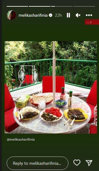 چیدمان جذاب و زیبای حیاط باصفا و دلباز ملیکا، خواهر مهراوه شریفی نیا/ زیبا، شیک و آرامبخش+عکس - مهراوهشریفینیا