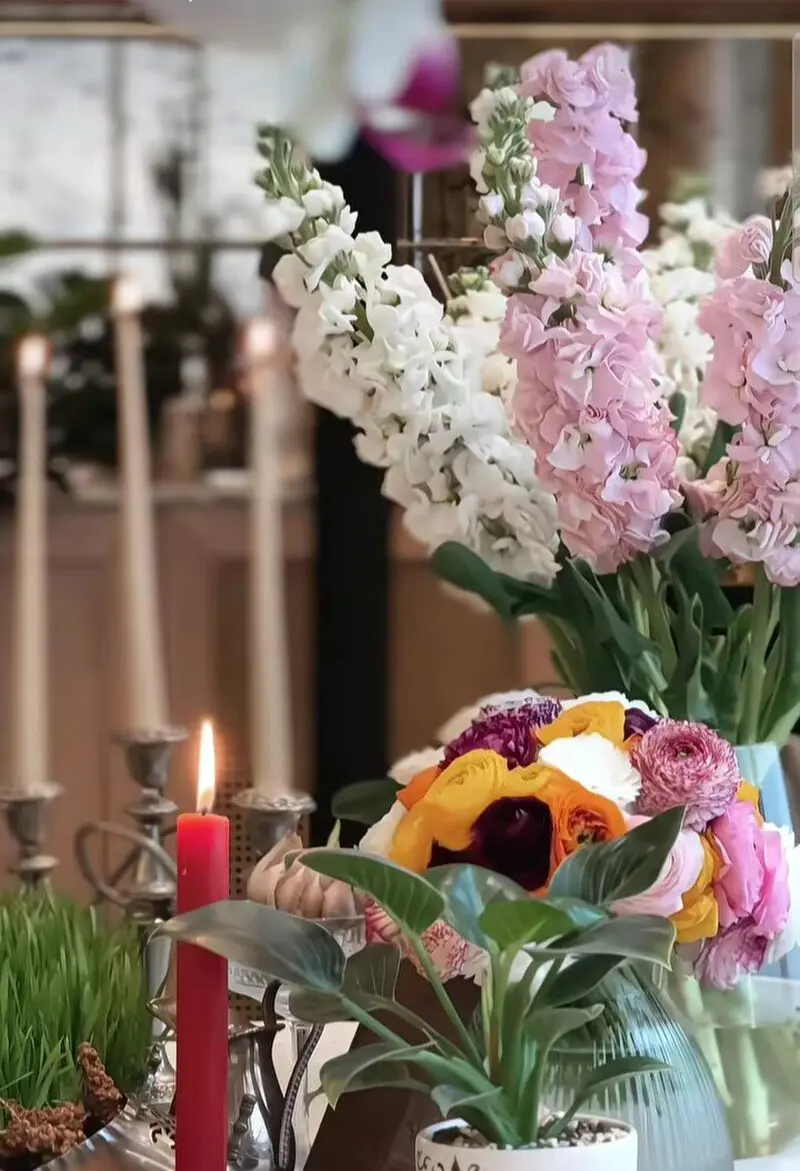 نگاهی به دکوراسیون لوکس و شاهانه خانه بهرام رادان و مینا مختاری + عکس - مینامختاریوبهرامرادان 1