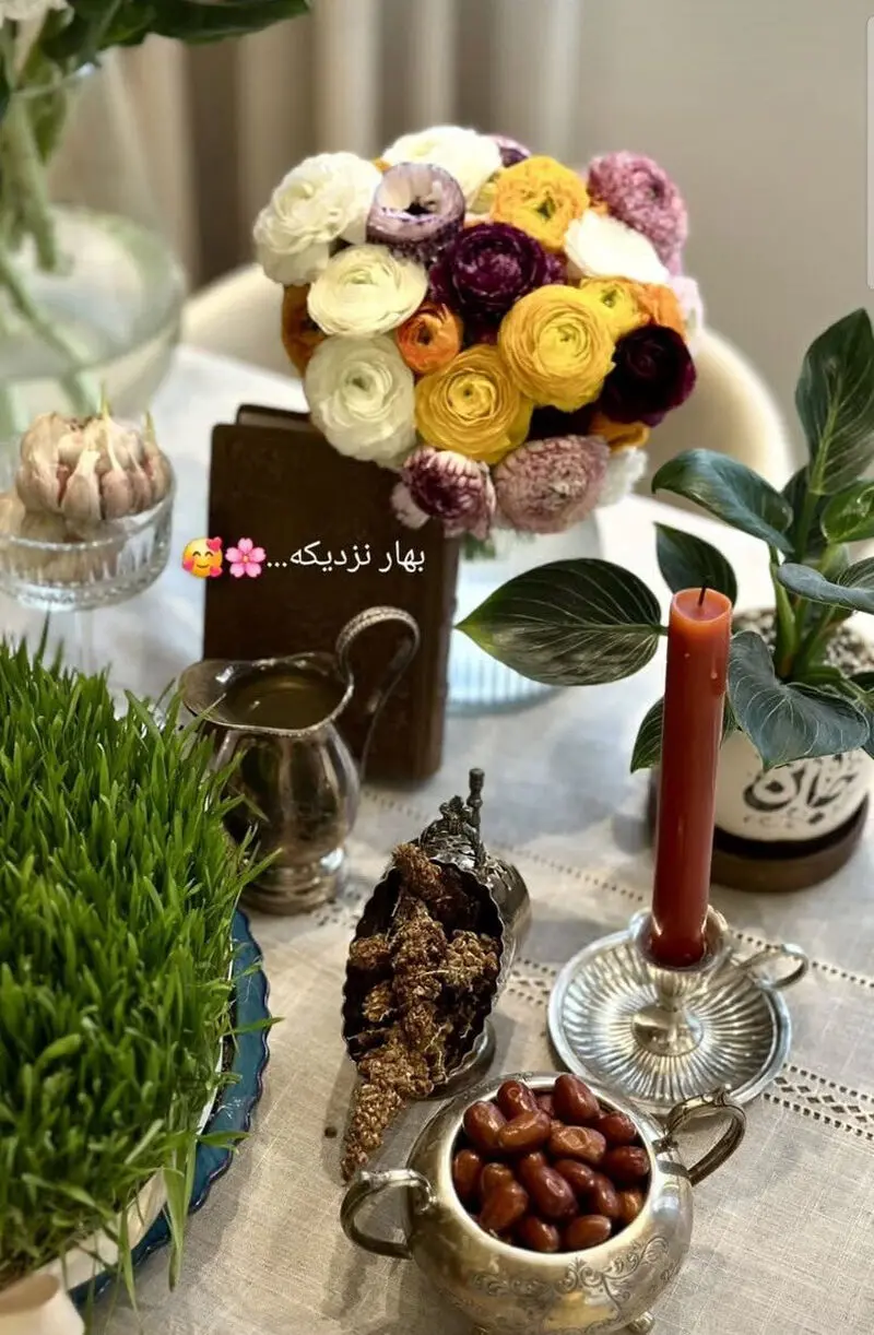 نگاهی به دکوراسیون لوکس و شاهانه خانه بهرام رادان و مینا مختاری + عکس - مینامختاریوبهرامرادان 2