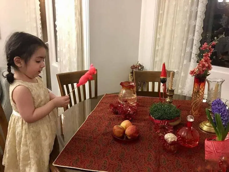 نگاهی به دکوراسیون مجلل منزل نسرین نصرتی؛ از حوض آبی و گل های رنگارنگ تا چیدمان سنتی و وسایل دکوراتیو دلنشین + عکس - نسریننصرتی 2 1