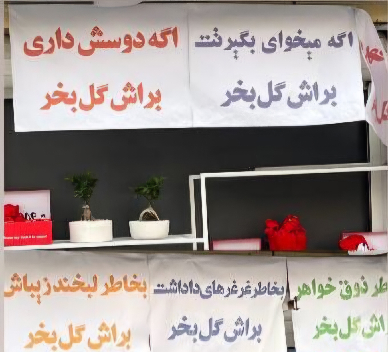 خلاقیت مشاغل: ابتکار هوشمندانه و منحصربفرد گلفروش تهرانی در قانع کردن مشتری برای خرید گل؛ چونکه ولنتاین نزدیکه این ایده به ذهنش رسیده😍 - capture 1