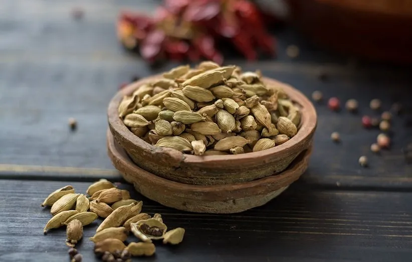 آموزش آسان کاشت هل در گلدان در خانه + روش نگهداری - cardamom 2 1 1