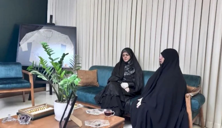 نگاهی به چیدمان منزل شهید سردار حاجی زاده / خانه‌ای با مبلمانی خوش‌رنگ و ترکیب زیبای گلدان زاموفیلیا - file 1 4